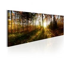 murando - Bilder Wald 150x50 cm Vlies Leinwandbild 1 TLG Kunstdruck modern Wandbilder XXL Wanddekoration Design Wand Bild - Waldlandschaft Natur Panorama Baum c-B-0173-b-a