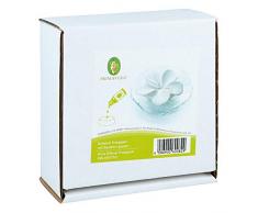 DUFTSTEIN Frangipani Glasteller transparent 1 St