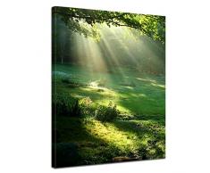 Kunstdruck mit Winter SALE Wiese Bild auf Leinwand - 60x80 cm 1 teilig - Leinwandbilder - Bilder als Leinwanddruck - Wandbild von Bilderdepot24 - Landschaften - Natur - Sonnenstrahlen auf einer grünen Wiese