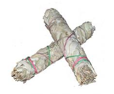 2 Stück Lange Salbei-Stäbe / Räucher-Bündel (je ~ 40gr.) von Native-Spirit.eu -- ~18-20 cm (7 Inch) white sage (2)