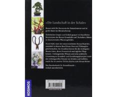 Bonsai - Vom Grundkurs zum Meister