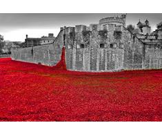 Tower of London Mohnblumen-Fotografie, Fotodruck des Tower of London Mohnblume Land and Seas of Red England UK Landschaftsfoto, S/W Bild, Kunstdruck, Fotografie, Geschenk, multi, 30,5 x 20,3 cm
