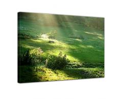 Wandbild - Wiese - Bild auf Leinwand - 80 x 60 cm- Leinwandbilder - Bilder als Leinwanddruck - Landschaften - Natur - Sonnenstrahlen auf Einer grünen Wiese