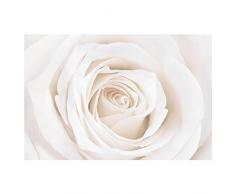 Fensterbild Pretty White Rose Rose Weiß Blume Blüte Hochzeit, Fenstersticker, Fensterfolie, Fensteraufkleber, Fenstertattoo, Glas-Sticker, Fensterdeko, Fensterdekoration, Größe: 54cm x 81cm