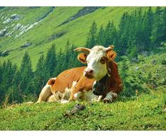 Artland Qualitätsbilder I Wandtattoo Wandsticker Wandaufkleber 40 x 30 cm Tiere Haustiere Kuh Foto Natur C4AF Kuh auf der Schweizer ALM