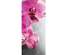 ForWall Fototapete Tür Vlies Türfototapete - Rosa Orchidee Vet (211 cm. x 91cm.) AMF10155VET Türtapete TürPoster