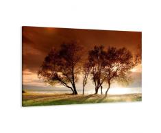 120 x 80 cm Bild auf Leinwand Natur Bäume 5025-SCT deutsche Marke und Lager - Die Bilder / das Wandbild / der Kunstdruck ist fertig gerahmt