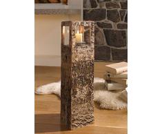 WindlichtsäuleBirkenrinde