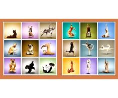2 er Set Wandbilder Hunde Motive Yoga Gymnastik Spass Bild je 50 cm x 50 cm