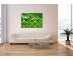 Bild auf Leinwand - Leinwandbilder - Einteilig - Breite: 100cm, Höhe: 70cm - Bildnummer 2661 - zum Aufhängen bereit - Bilder - Kunstdruck - AA100x70-2661