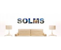 INDIGOS UG - WANDTATTOO / Wandsticker / Wandaufkleber / Aufkleber farbige Wandschrift Städtename Solms mit Sehenswürdigkeiten 180 x 35 cm Länge