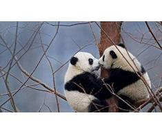 Obanban Digital Suite Gemälde für Erwachsene und Kinder DIY Ölgemälde - Zwei Riesenpanda Babys China