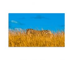 Cuadros Lifestyle Acrylglasbild | Wandbild Glasbild Acrylbild Rahmenlos | Torsten Reuter | Zebra, Größe:150x100 cm