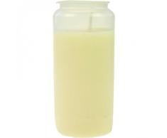 Beste Choice Premium Kompositions Grablicht Nr. 7 Weiss | Grabkerzen | Öllichter | Friedhofskerzen | Grablaterne | Kerzen Dauerbrenner (40)