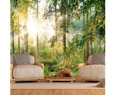 murando - Fototapete Wald 250x175 cm - Vlies Tapete - Moderne Wanddeko - Design Tapete - Wandtapete - Wand Dekoration - Wald Landschaft Natur Sonne Grün Bäume Sonnenuntergang c-C-0032-a-b