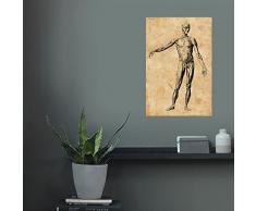 artboxONE Poster 60x40 cm Menschen Menschliche Anatomie I beige hochwertiger Design Kunstdruck - Bild Menschen von Artkuu