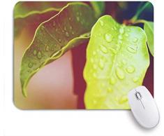 NANITHG Stoff Mousepad，Bio Blatt Wassertropfen Tau Natur Zusammenfassung wachsen Nahaufnahme Pflanze Kondensation Kristall，Rutschfest eeignet für Büro und Gaming Maus