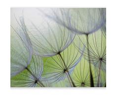 murando - Fototapete selbstklebend Pusteblume 245x175 cm Tapete Wandtapete Wandbilder Klebefolie Dekofolie Tapetenfolie Wand Dekoration Wohnzimmer - Blumen Natur grün 10110906-71