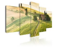 murando - Bilder 200x100 cm - Leinwandbilder - Fertig Aufgespannt - Vlies Leinwand - 5 Teilig - Wandbilder XXL - Kunstdrucke - Wandbild - Natur 030213-9