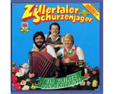 Ein Kleiner Blumenstrauss