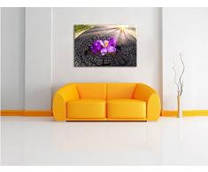 Die Kraft der Natur, Format: 80x60 auf Leinwand, XXL riesige Bilder fertig gerahmt mit Keilrahmen, Kunstdruck auf Wandbild mit Rahmen, günstiger als Gemälde oder Ölbild, kein Poster oder Plakat