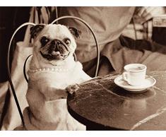 Artland Poster oder Leinwand-Bild fertig aufgespannt auf Keilrahmen mit Motiv Jim Dratfield Kaffee Mops Tiere Haustiere Hund Fotografie Sepia