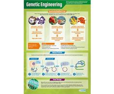 Foto-Poster Genetic Engineering, glänzend, 850 mm x 594 mm (A1)