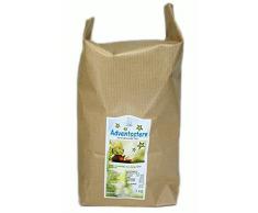 Hiller Aromatisierter Schwarztee Adventsstern 1 kg