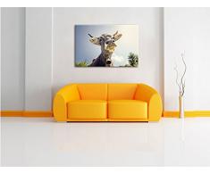 Lustiges Portrait einer Kuh, Format: 100x70 auf Leinwand, XXL riesige Bilder fertig gerahmt mit Keilrahmen, Kunstdruck auf Wandbild mit Rahmen, günstiger als Gemälde oder Ölbild, kein Poster oder Plakat