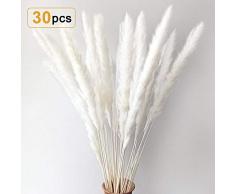 Sporgo 30 Stück Pampasgras Getrocknet Deko Pampas Gras Natürliche Trockenblumen Blumenstrauß Deko für Inneneinrichtungen Fotografie Wohnzimmer Schlafzimmer Hochzeit 60CM (Weiß)