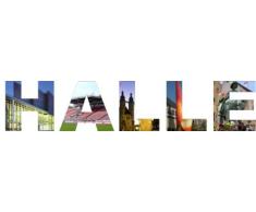 WANDTATTOO w560 mehrfarbige Wandschrift Halle Wandaufkleber, 120x24 cm