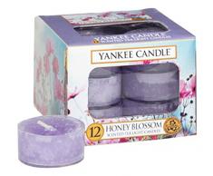 Yankee Candle Teelicht, Honey Blossom, Duftkerze, Stövchenlicht, 12er Pack, Teelichte, 1254070E