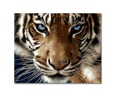 RIHE Holzrahmen, Farbe nach Zahlen DIY Ölgemälde Tiger, der Sie auf Leinwand zeigt Wand-Kunst-Zuhause-Dekoration