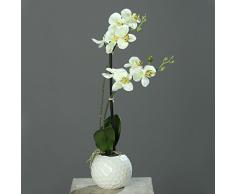 Orchidee in Kugelvase Keramik Kunstpflanze 2 Rispen grün-creme 55cm
