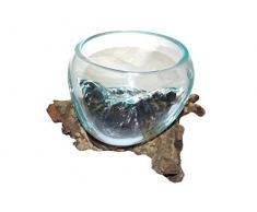 Spezielle Deko Glasschale Glasvase Blumenvase Wurzelholz Schale Vase mit Holz Wurzel