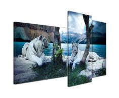 Kunstdruck - Tiger II - Bild auf Leinwand - 130x80 cm 3 teilig - Leinwandbilder - Bilder als Leinwanddruck - Tierwelten - Wildtiere - Grosskatzen - zwei weiße Tiger