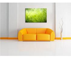 Nasses Gras Format: 100x70 cm auf Leinwand, XXL riesige Bilder fertig gerahmt mit Keilrahmen, Kunstdruck auf Wandbild mit Rahmen, günstiger als Gemälde oder Ölbild, kein Poster oder Plakat