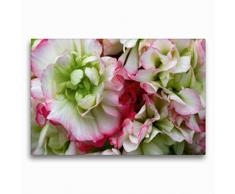 Premium Textil-Leinwand 75 x 50 cm Quer-Format Pelargonie Rosebud Appleblossom | Wandbild, HD-Bild auf Keilrahmen, Fertigbild auf hochwertigem Vlies, Leinwanddruck von Martina Cross