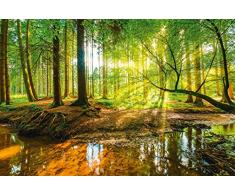 Artland Wandbilder selbstklebend aus Vliesstoff oder Vinyl-Folie Günter Albers Wald mit Bach Landschaften Wald Fotografie Braun D8SD