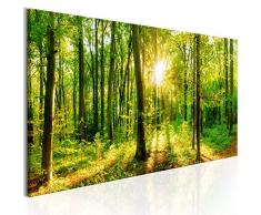 murando - Bilder Wald 150x50 cm Leinwandbild 1 TLG Kunstdruck modern Wandbilder XXL Wanddekoration Design Wand Bild - Waldlandschaft Natur Panorama Baum c-B-0184-b-a
