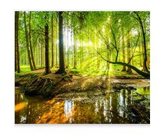 murando Fototapete Wald 400x280 cm Vlies Tapeten Wandtapete XXL Moderne Wanddeko Design Wand Dekoration Wohnzimmer Schlafzimmer Büro Flur Natur Baum grün Landschaft Sonne c-B-0241-a-a