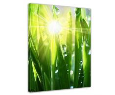 Wandbild - Gras II - Bild auf Leinwand - 40x50 cm einteilig - Leinwandbilder - Pflanzen & Blumen - Grashalme mit Wassertropfen in der Sonne