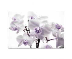 Feeby, Leinwandbild, Bilder, Wand Bild, Wandbilder, Kunstdruck 40x60cm, BLUMEN, ORCHIDEEN, MAKRO, WEIÃ, LILA