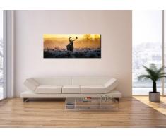 Bild auf Leinwand - Leinwandbilder - Einteilig - Breite: 120cm, Höhe: 50cm - Bildnummer 2428 - zum Aufhängen bereit - Bilder - Kunstdruck - AB120x50-2428