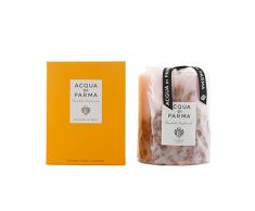 Acqua di Parma KERZE rose buds 900 gr