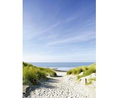 Artland Qualitätsbilder I Poster Kunstdruck Bilder 30 x 40 cm Landschaften Strand Foto Creme D8PF Strand mit Sanddünen und Einem Weg zur See