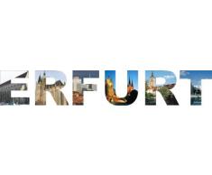 WANDTATTOO w568 mehrfarbige Wandschrift Erfurt Wandaufkleber, 80x13 cm