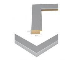 Bilderrahmen MONZA in SILBER in 68 X 98