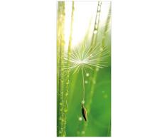 Wallario Acrylglasbild Pusteblume Nahaufnahme - 50 x 125 cm in Premium-Qualität: Brillante Farben, freischwebende Optik