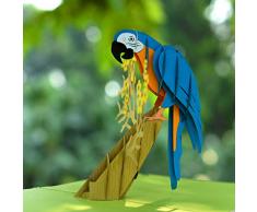 CUTPOPUP 3D-Pop-up-Grußkarte mit Vögeln, aufwendiges Design, ideal für Ostern, Dankeschön, Einweihung, Geburtstag, Hochzeit oder Jubiläen Pop-Up-Karte mit Papageien-Motiv.